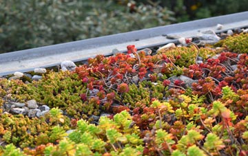the cost of Craigiebuckler green roof installation