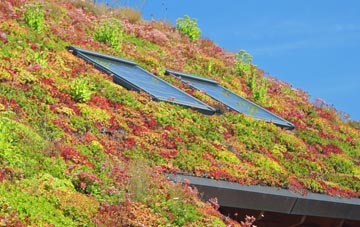 Craigiebuckler living roof systems